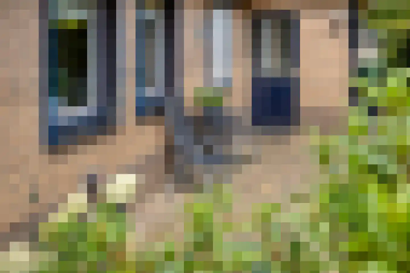 Garsenshof 17 Warnsveld thumbnail 35