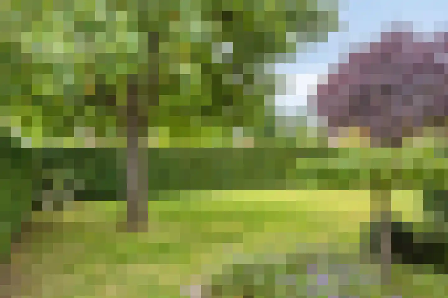 Garsenshof 17 Warnsveld thumbnail 36