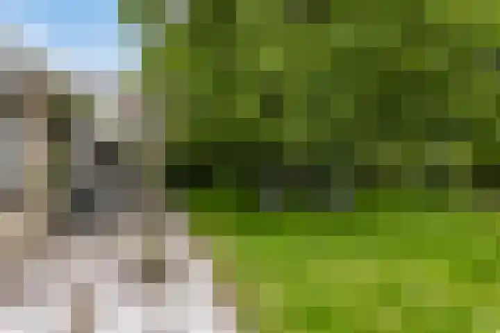 Garsenshof 56 Warnsveld thumbnail 56