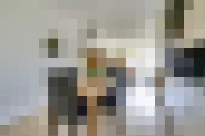 Garsteland 8 Ermelo thumbnail 13