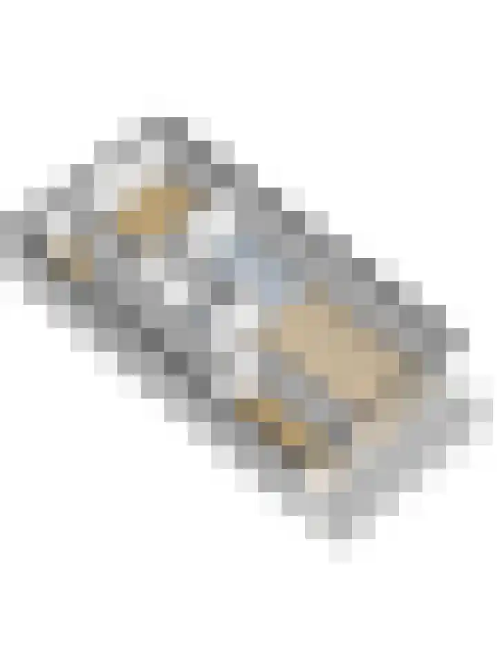 Garsteland 8 Ermelo thumbnail 32