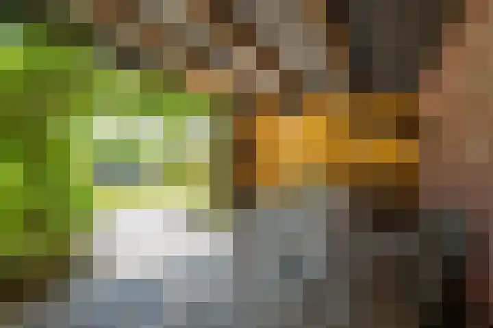 Garststraat 1 Maurik thumbnail 105