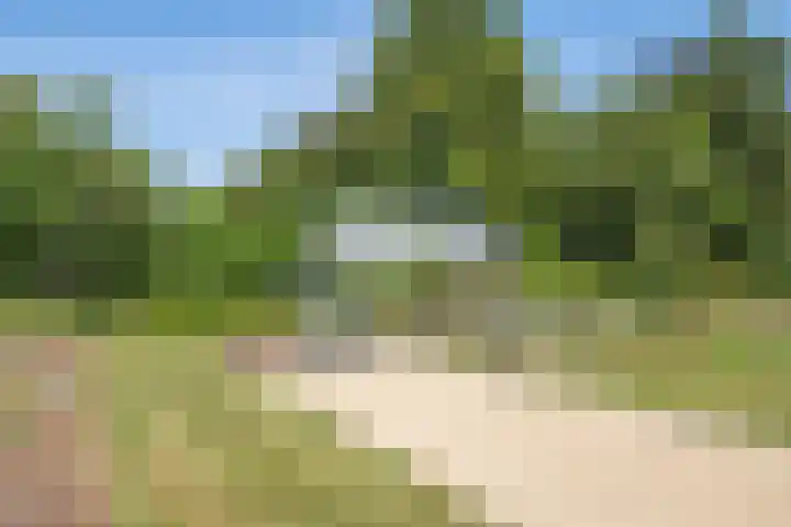 Garststraat 1 Maurik thumbnail 110
