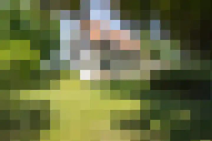 Garststraat 1 Maurik thumbnail 22