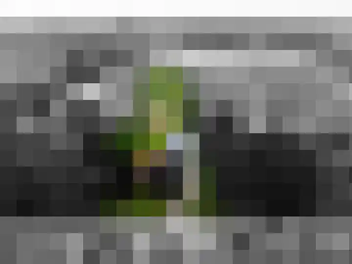 Garststraat 1 Maurik thumbnail 5