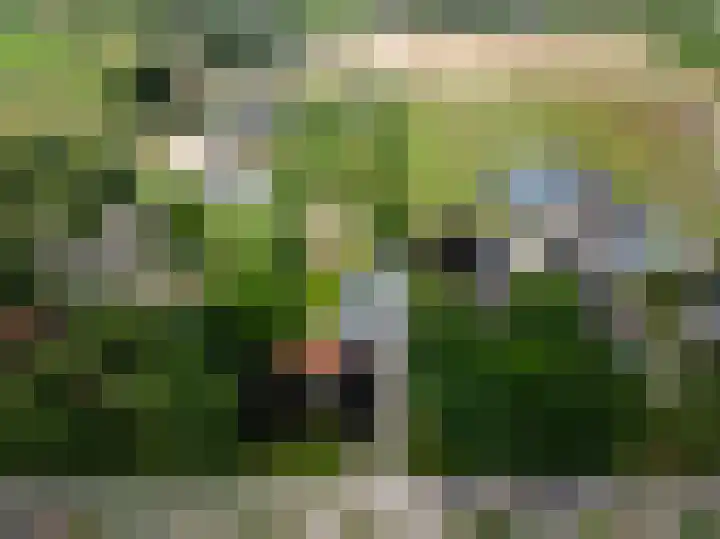 Garststraat 1 Maurik thumbnail 6
