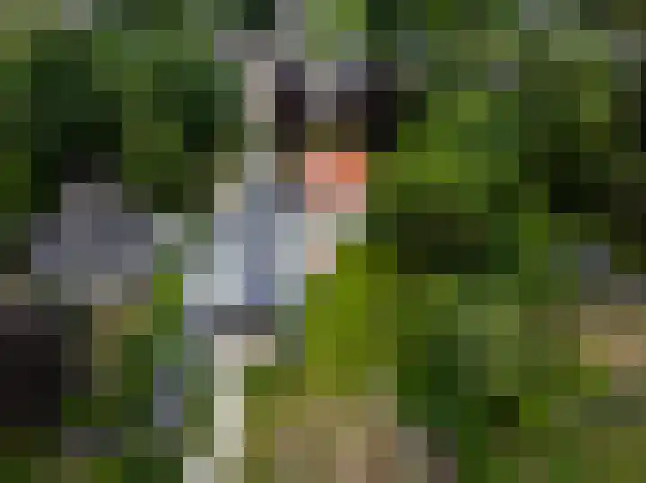 Garststraat 1 Maurik thumbnail 7