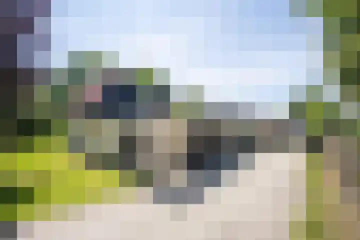 Garststraat 1 Maurik thumbnail 8