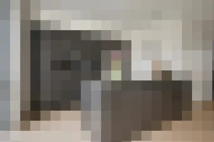 Garve 28 Someren thumbnail 21