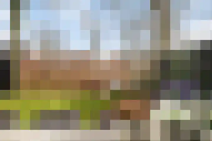 Garve 28 Someren thumbnail 45