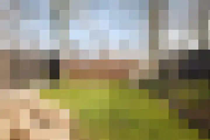 Garve 28 Someren thumbnail 47