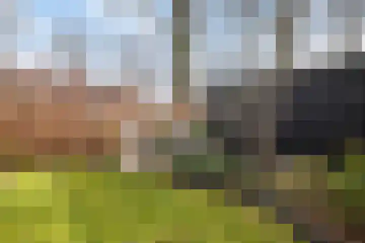 Garve 28 Someren thumbnail 48