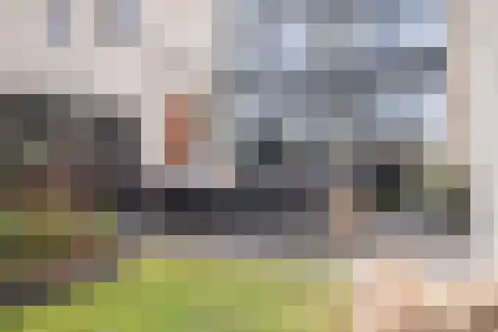 Garve 28 Someren thumbnail 51