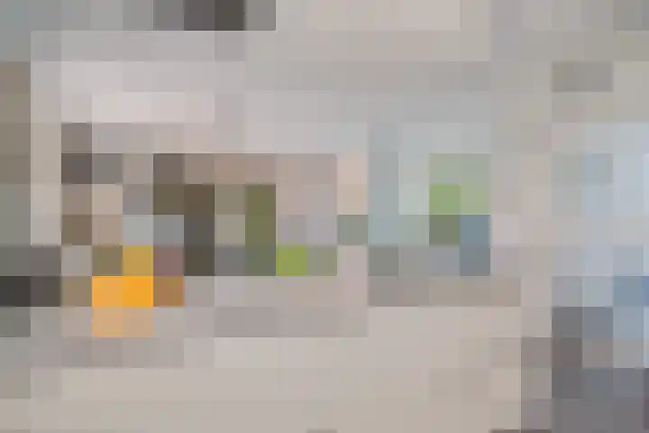 Garve 8 Erica thumbnail 11