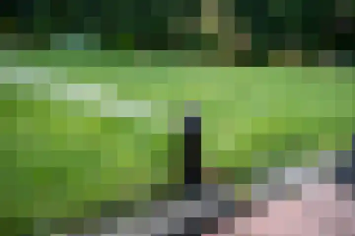 Garve 8 Erica thumbnail 32