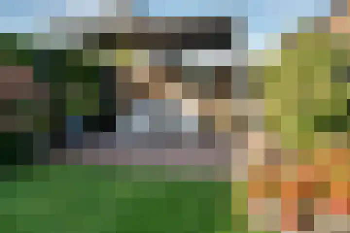 Garve 8 Erica thumbnail 33