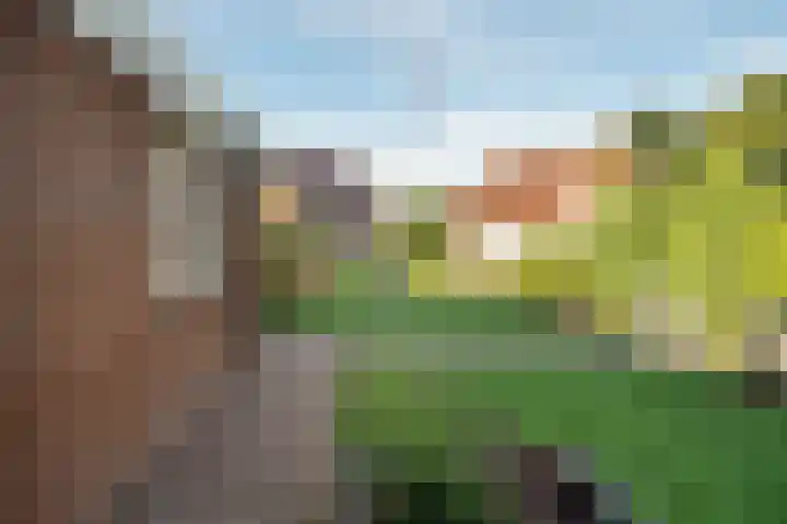Garve 8 Erica thumbnail 38