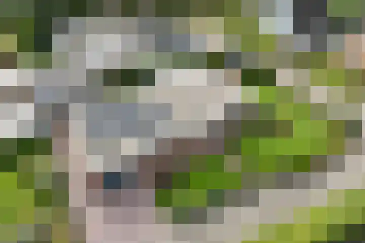 Garve 8 Erica thumbnail 39
