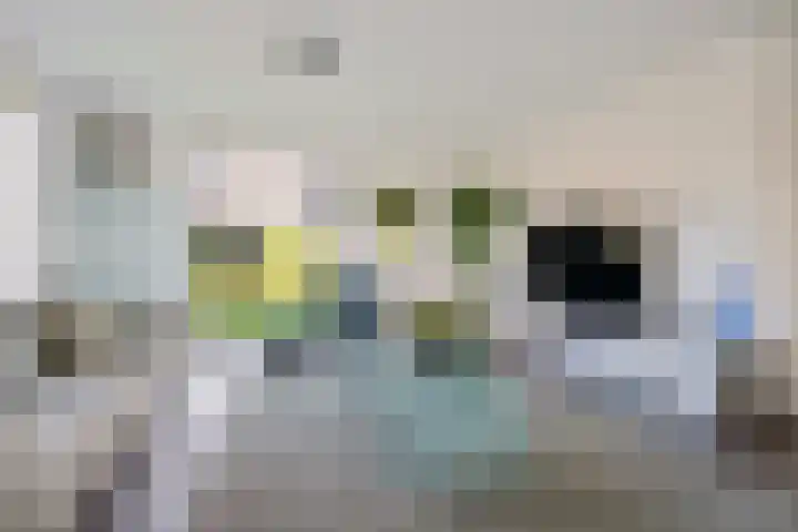 Garve 8 Erica thumbnail 4