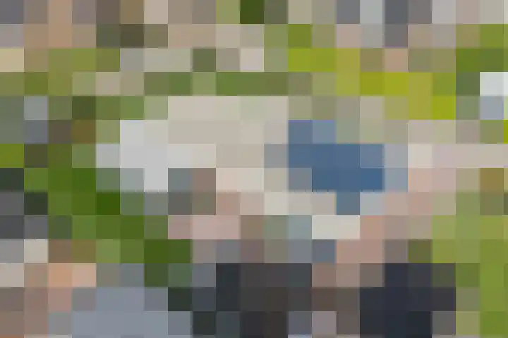 Garve 8 Erica thumbnail 40