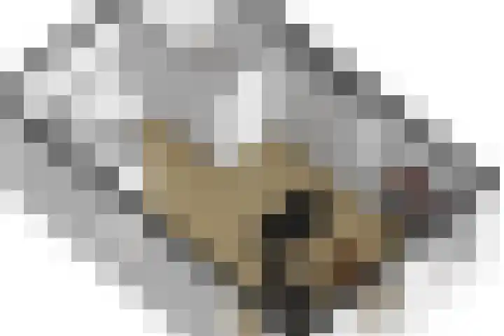 Gashouder 27 Eindhoven thumbnail 37