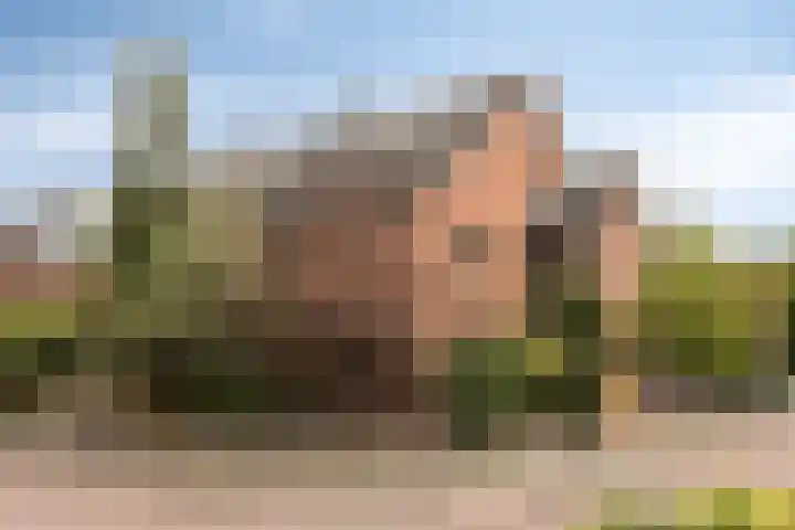 Gaspelwede 20 Barendrecht thumbnail 28