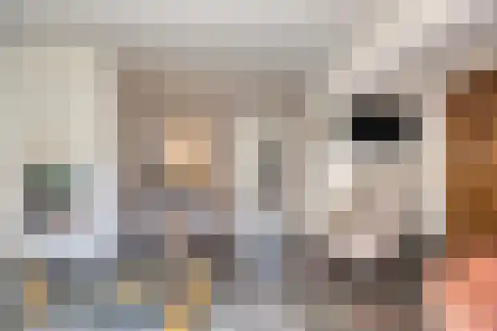 Gastenberg 55 Rosmalen thumbnail 12