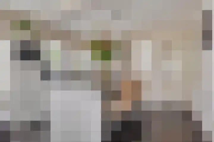 Gastenberg 55 Rosmalen thumbnail 26