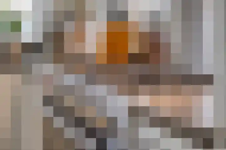 Gastenberg 55 Rosmalen thumbnail 31