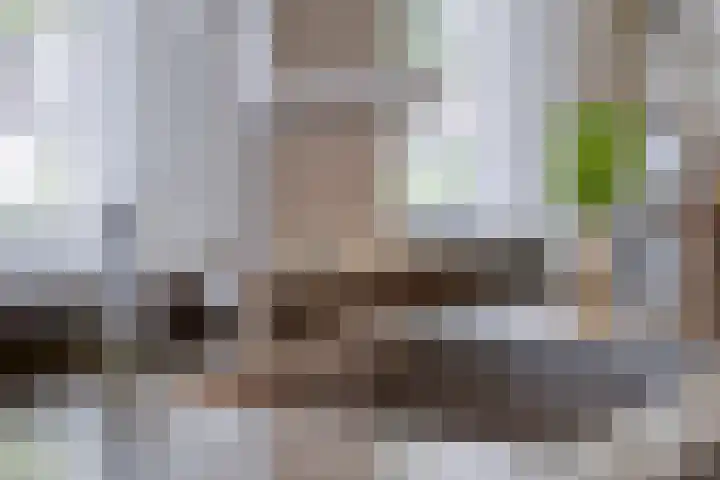 Gastenberg 55 Rosmalen thumbnail 32