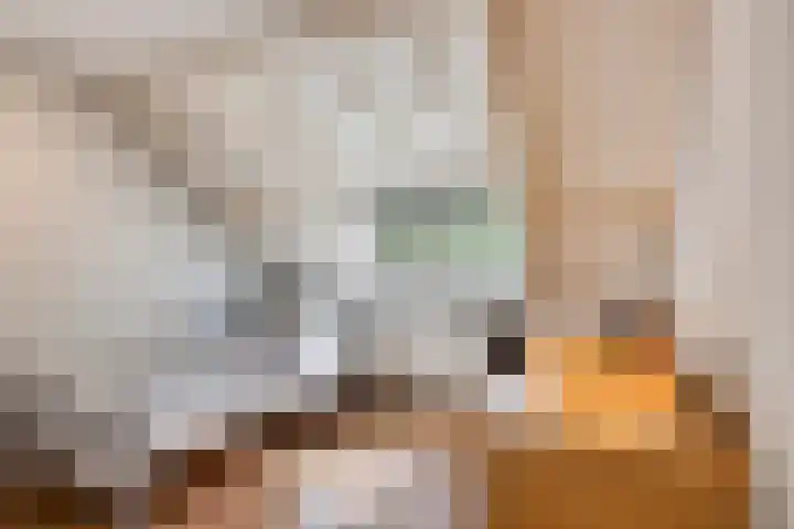 Gastenberg 55 Rosmalen thumbnail 51