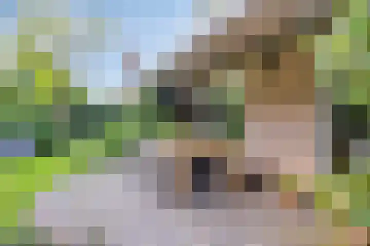 Gastenberg 55 Rosmalen thumbnail 62
