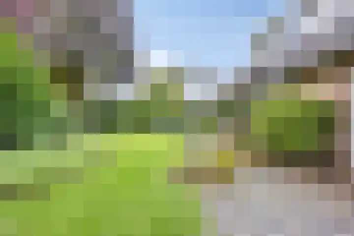 Gastenberg 55 Rosmalen thumbnail 63