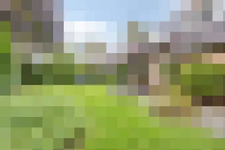 Gastenberg 55 Rosmalen thumbnail 65