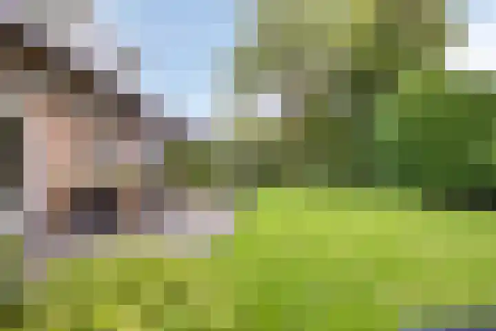 Gastenberg 55 Rosmalen thumbnail 66