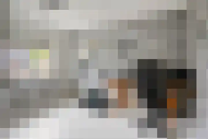 Gastenberg 81 Rosmalen thumbnail 18