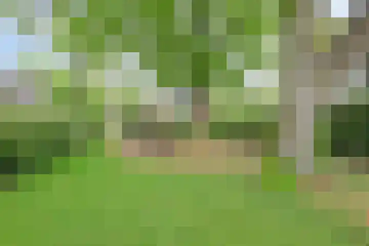 Gastenberg 81 Rosmalen thumbnail 31