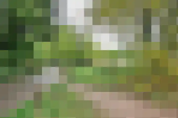 Gastenberg 81 Rosmalen thumbnail 34