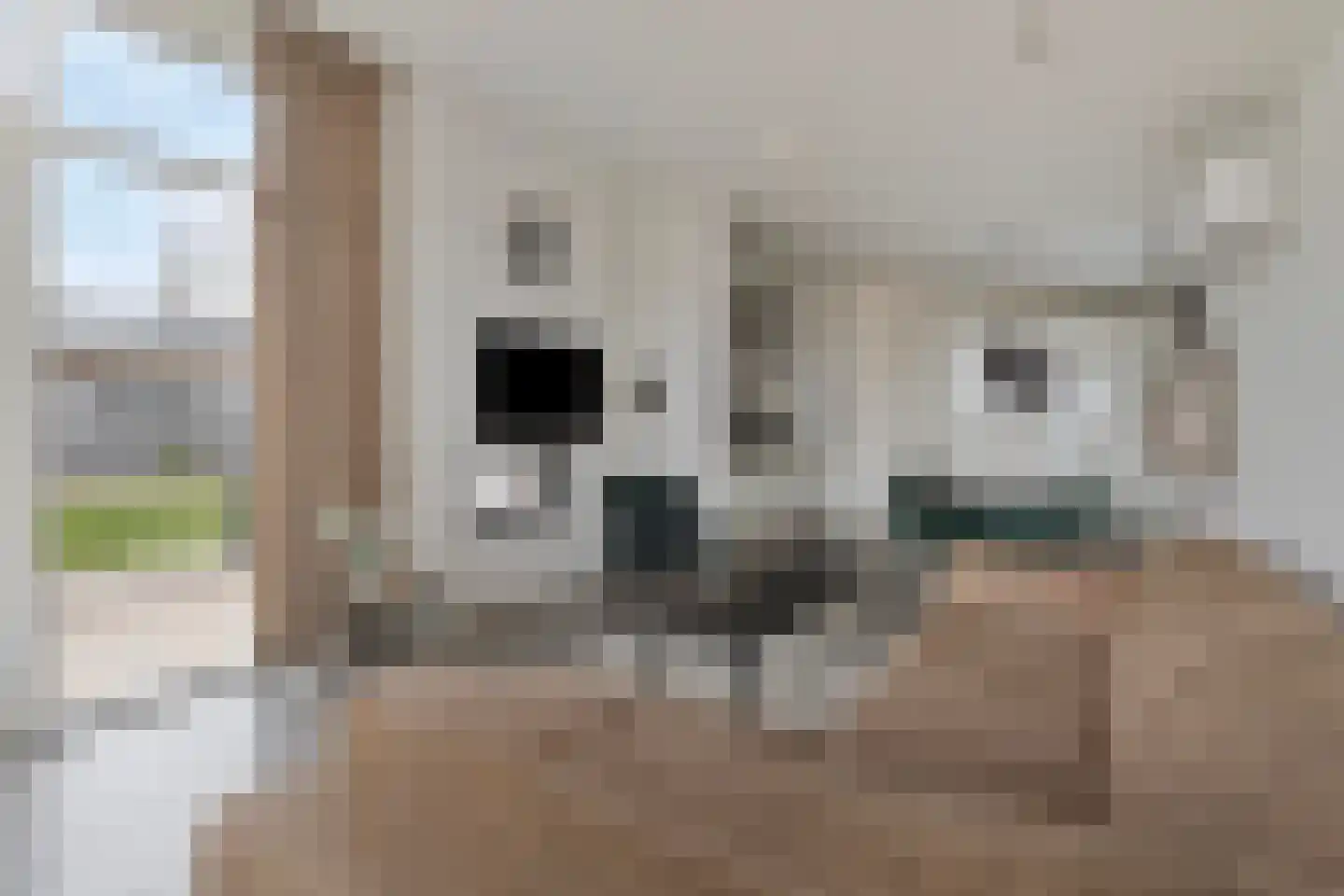 Gasthuis 3 100 Bemelen thumbnail 5