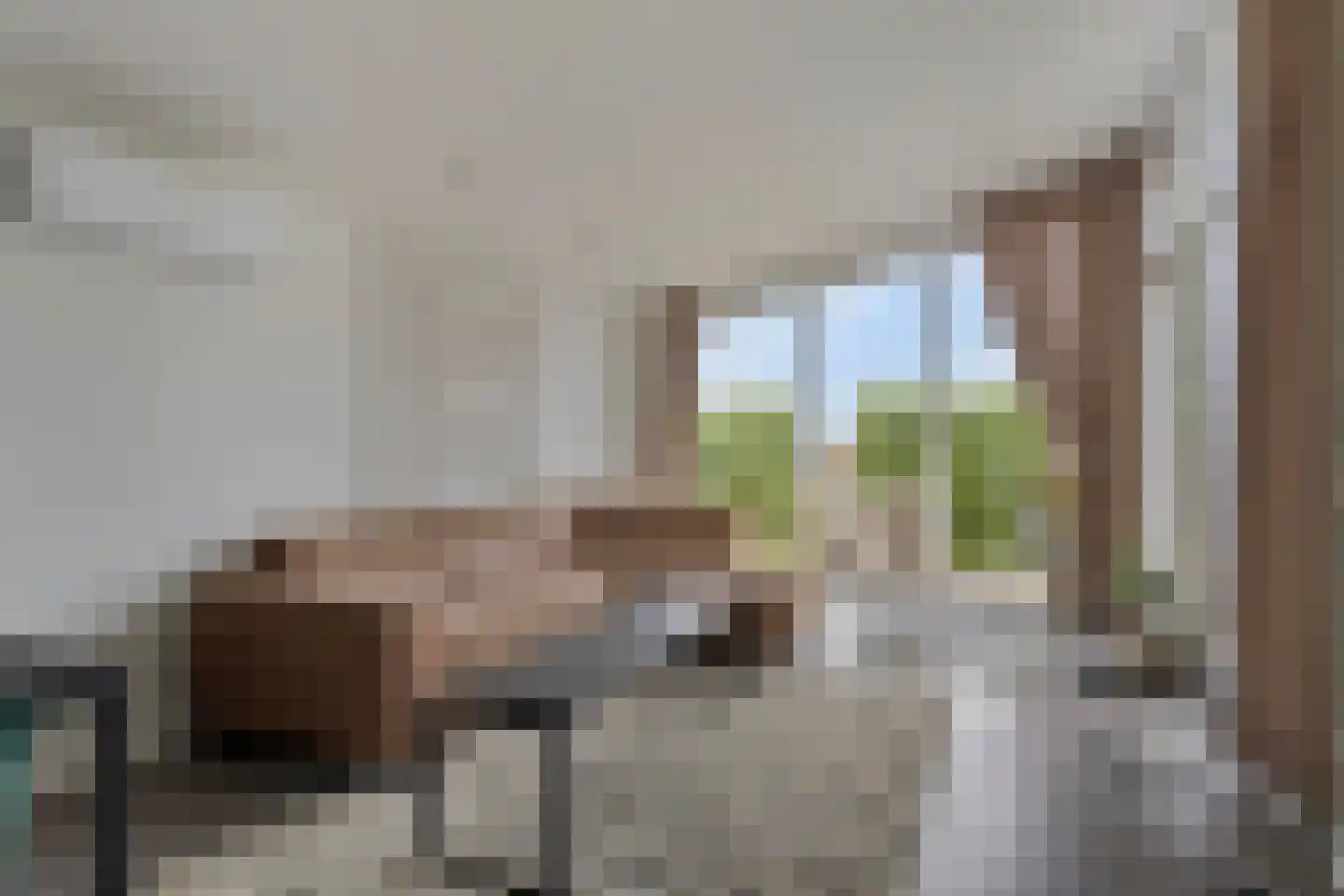 Gasthuis 3 100 Bemelen thumbnail 6
