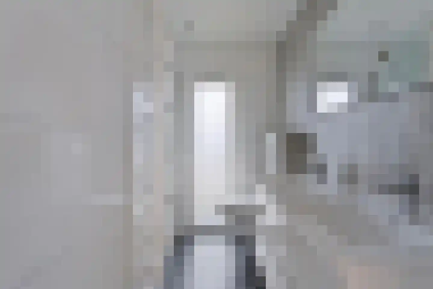 Gasthuis 3 100 Bemelen thumbnail 8