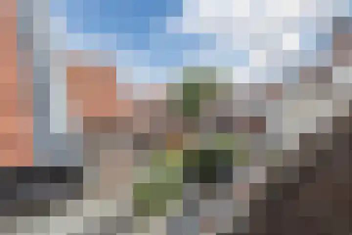 Gasthuisstraat 15 Grave thumbnail 25