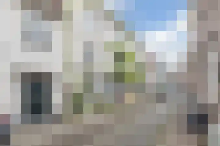 Gasthuisstraat 15 Grave thumbnail 5