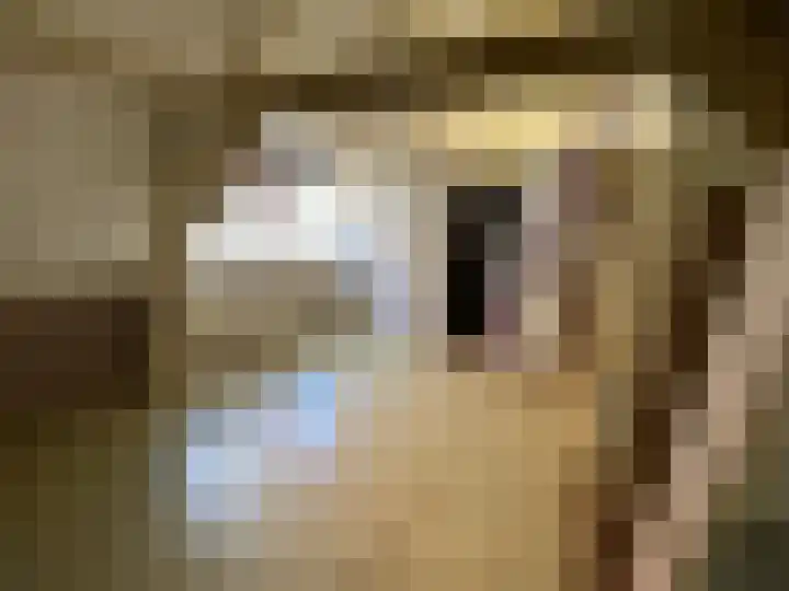 Gasthuisstraat 3 Goes thumbnail 6
