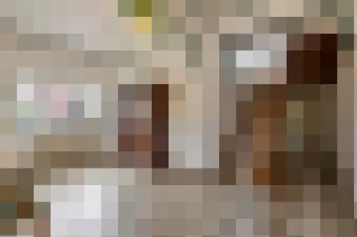 Gasthuisstraat 58 Echt thumbnail 11