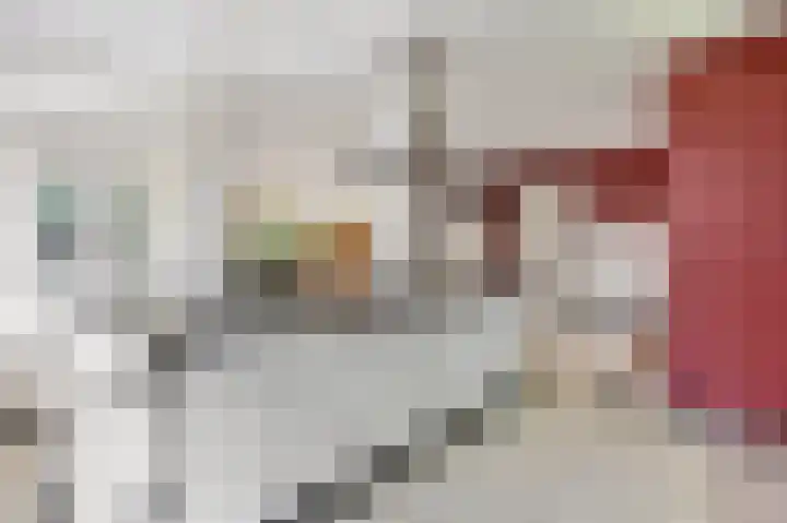 Gasthuisstraat 58 Echt thumbnail 26