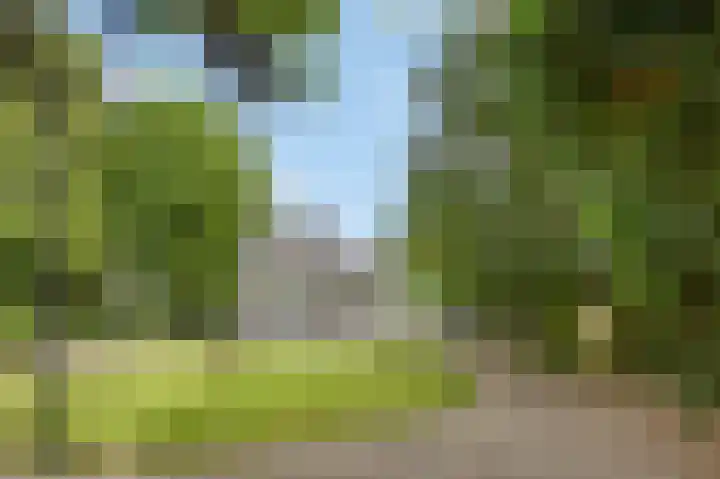 Gasthuisstraat 58 Echt thumbnail 4
