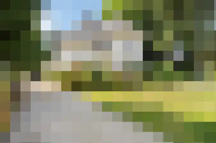 Gasthuisstraat 58 Echt thumbnail 6