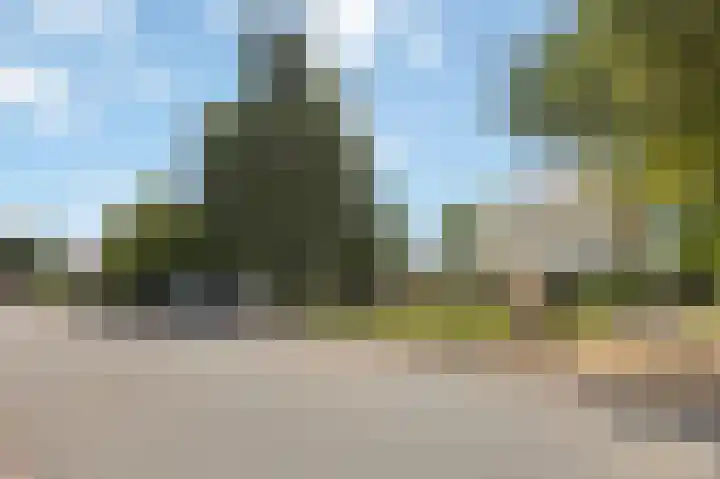 Gasthuisstraat 58 Echt thumbnail 8