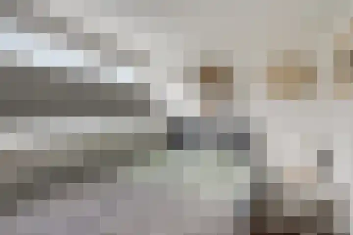 Gatsedijk 62 Maasdam thumbnail 17